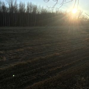 Meet your Posher, Jake